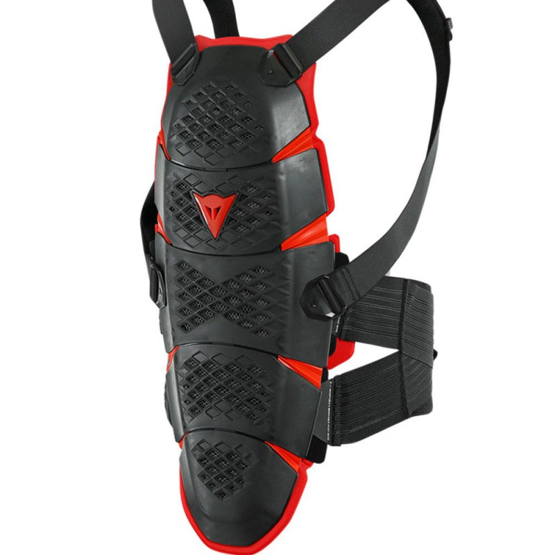 ESPALDERA DAINESE PRO-SPEED BACK L