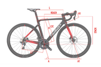 BICICLETA WILIER TRIESTINA CARBONO GRUPO SHIMANO 105 T-L